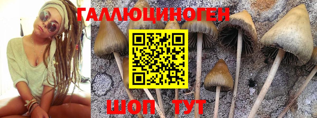 Псилоцибиновые грибы ЛСД  Псилоцибиновые грибы GOLDEN TEACHER  Вход с VPN  Татарск 